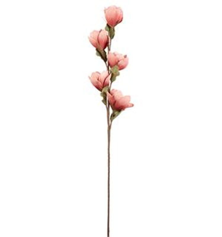 Kvist rosa lilje.