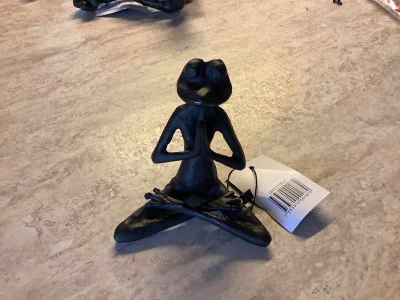Yoga frosk
